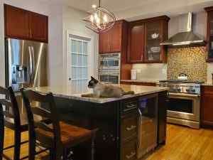 kitchen remodeling damascus md